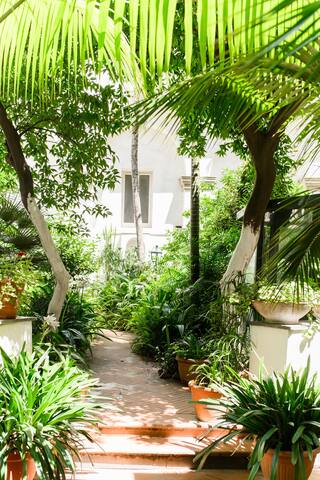 Casa Molly al Plebiscito