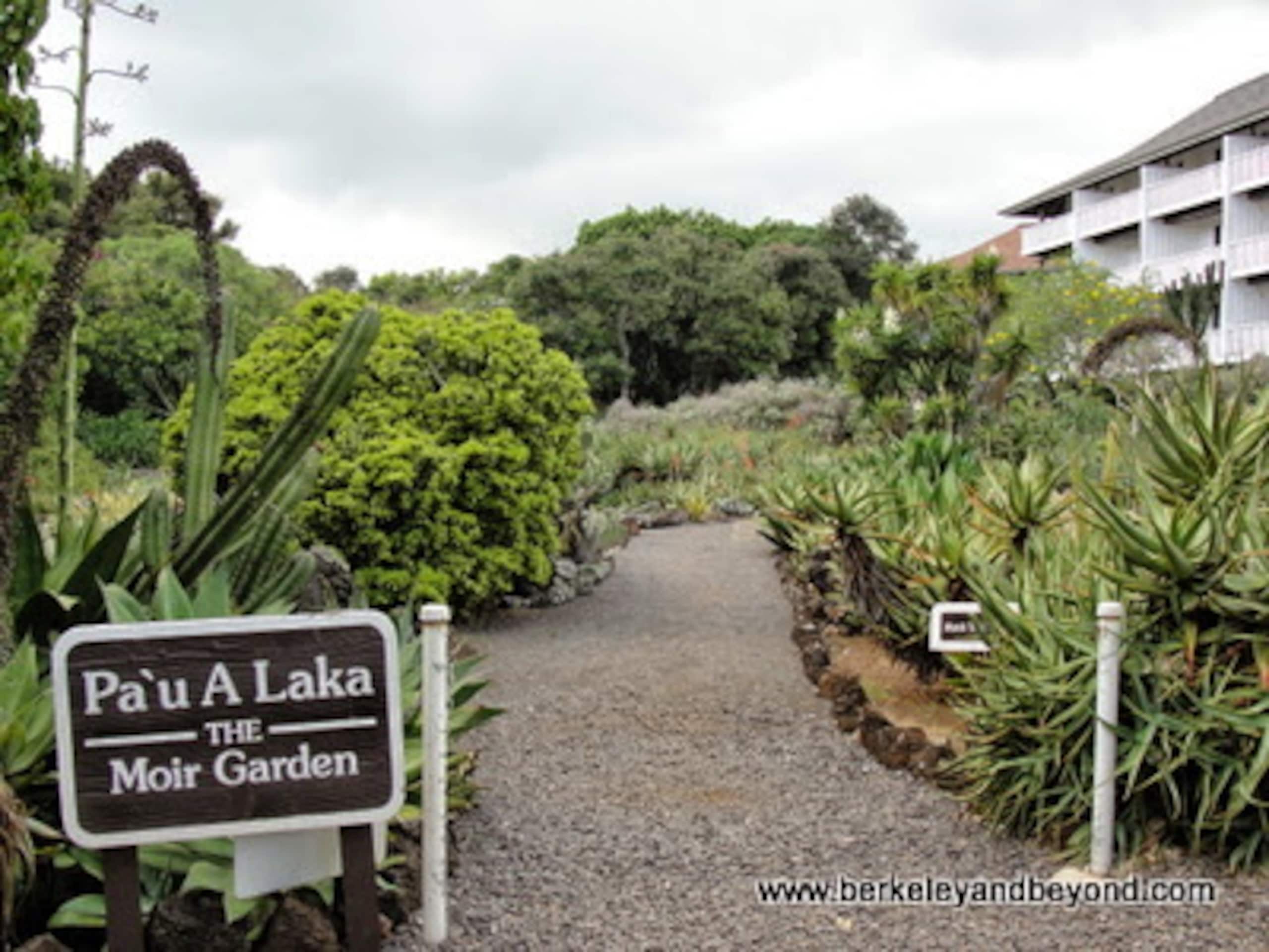 Kiahuna, AC, Partial Ocean View, Family Friendly - Photo 55