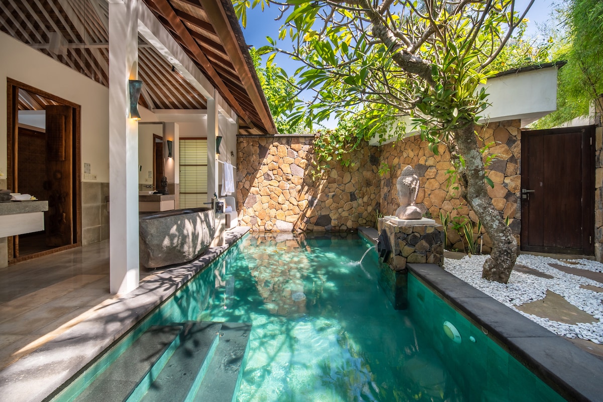 A private pool surrounded by natural stone walls is depicted, featuring clear turquoise water. Lush greenery is visible, along with a tree and decorative stones lining the pool area. The villa's entrance can be seen in the background, complementing the serene outdoor setting.