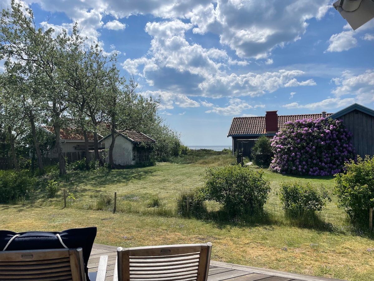 A serene outdoor view is presented, featuring a lush green lawn with scattered trees. In the distance, two cozy cottages are visible, framed by blooming plants. The sky, adorned with fluffy clouds, creates a peaceful ambiance, while the sea can be glimpsed beyond the greenery.
