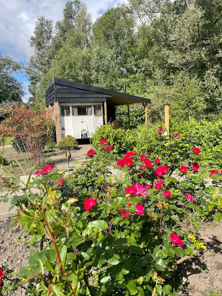 Jaren '50 Caravan - Leerdam