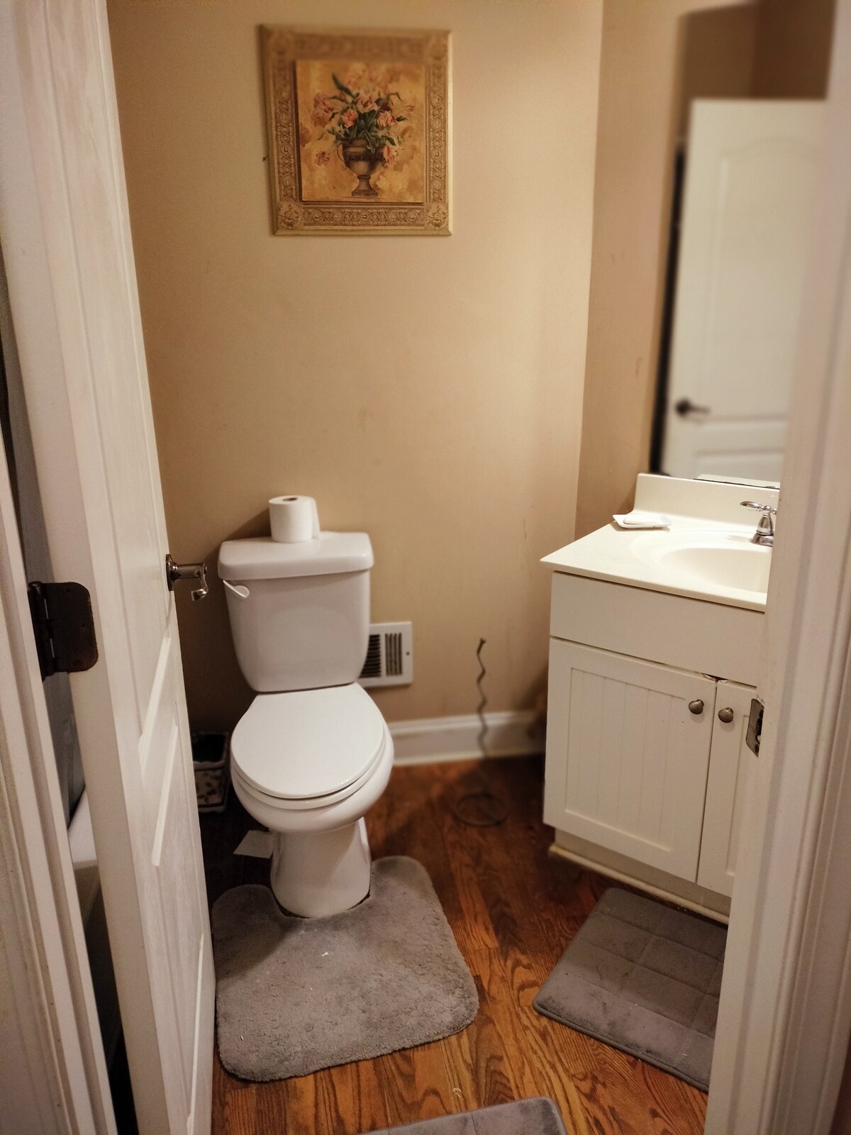 Spacious Private Room and Bath