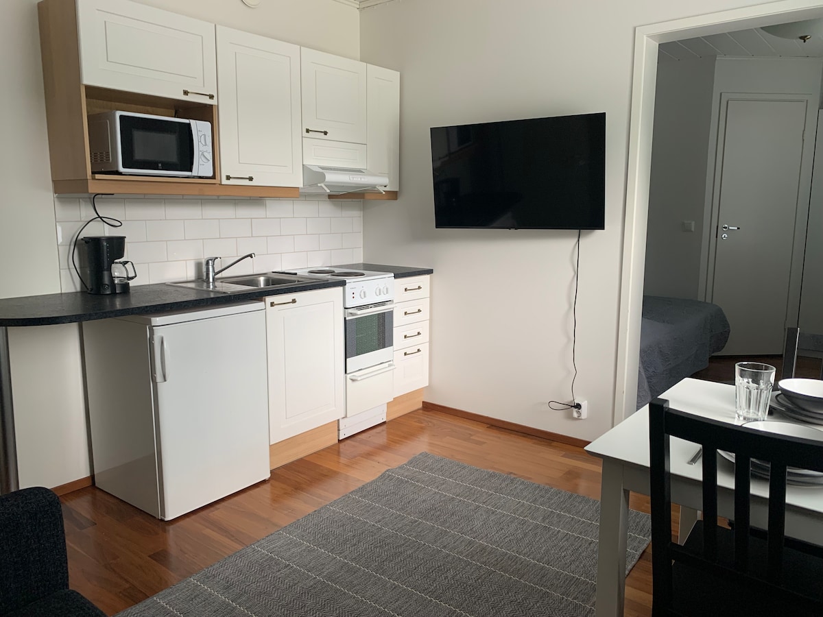A compact kitchen area features modern appliances, including a microwave and coffee maker. A stove with an oven and a refrigerator are also visible. A dining table for two is present, alongside a dark rug that complements the wooden flooring.