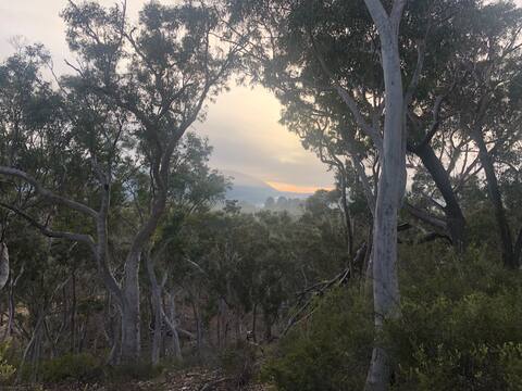 ‘Kanganga' Bush-Land Retreat Farm Stay