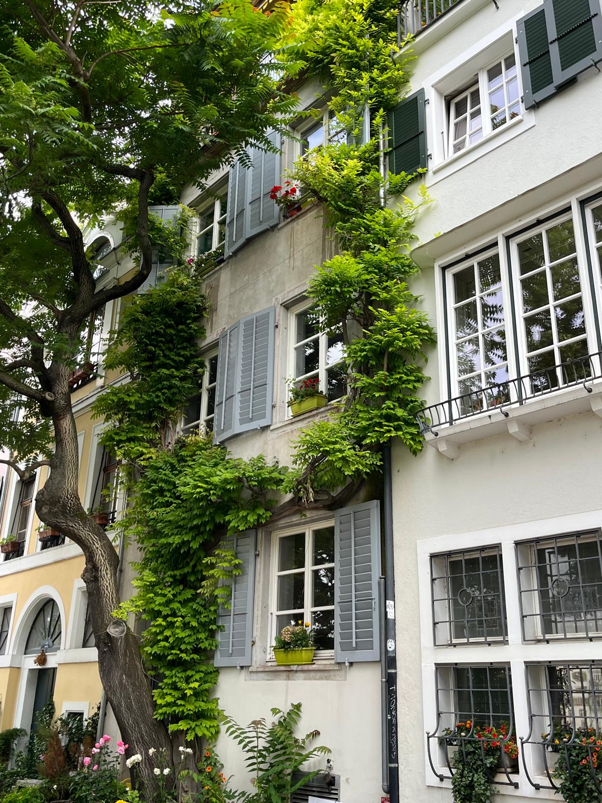 A charming three-story building is surrounded by lush greenery. Window boxes with blooming flowers decorate several windows, while green shutters add character. A large tree stands next to the building, contributing to a serene and inviting urban landscape.