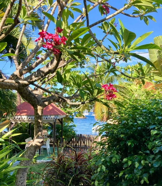 A view through lush greenery reveals vibrant pink flowers on a tree. In the background, the blue sea is visible, along with a gazebo and a lawn area. The scene captures a tranquil atmosphere, framed by tropical plants under a clear sky.