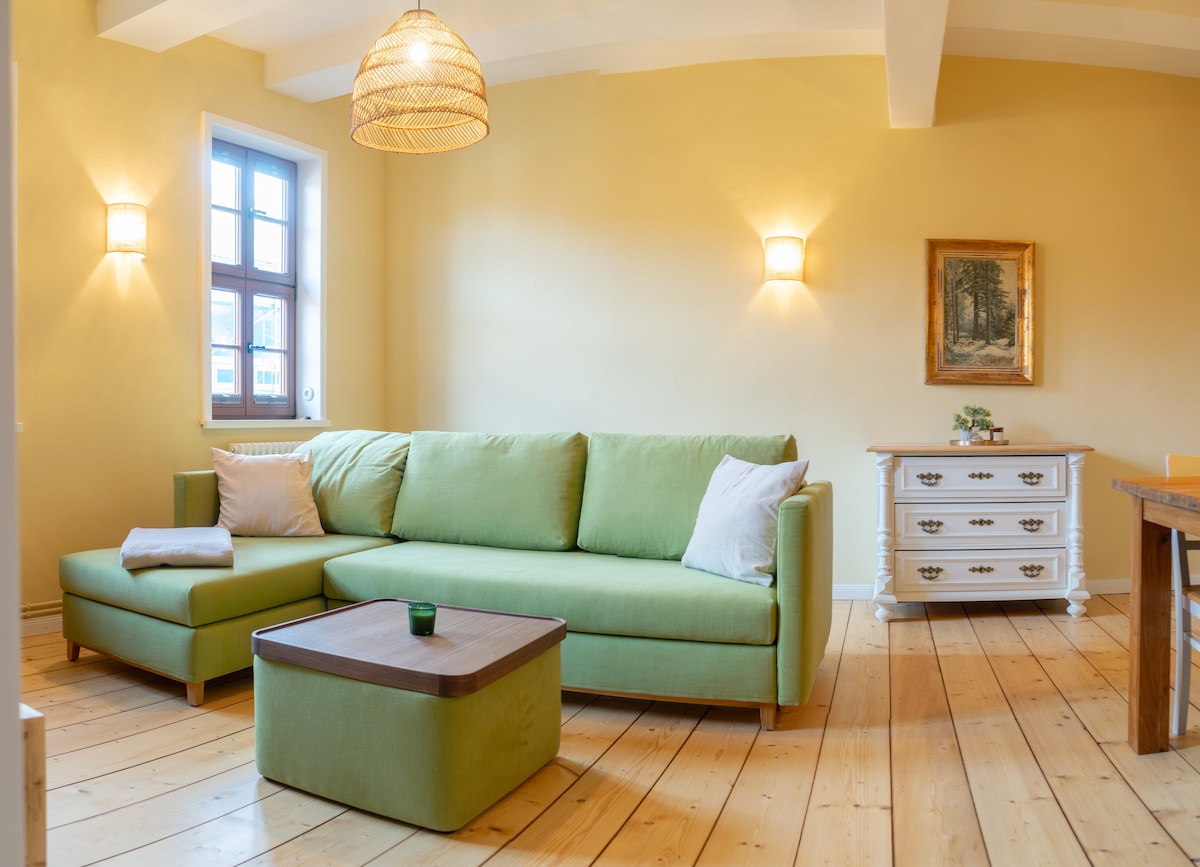 Top performing Airbnb: Steinweg 61-Ap.10 (sauna & steam bath) no pets in Quedlinburg