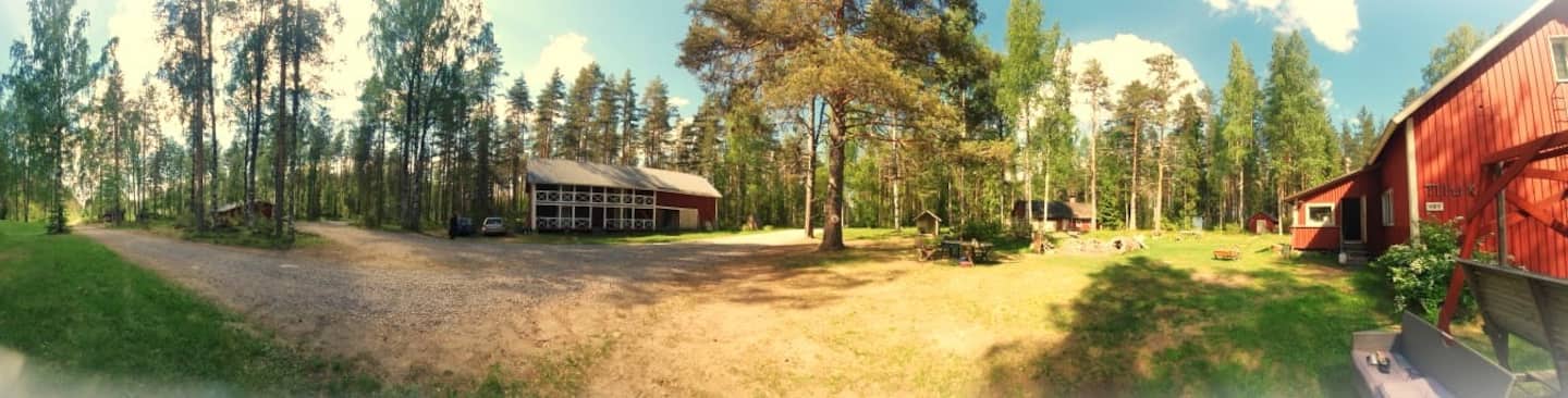 Metsätila Lähellä Pyhä-häkkiä 5