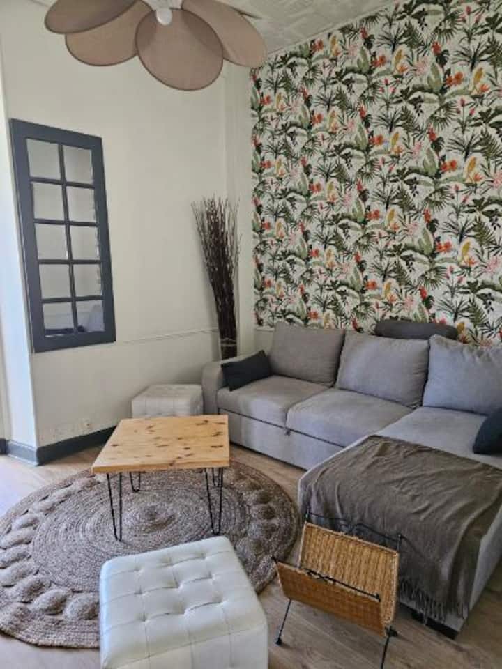Joli Appartement 2/4 Personnes - Vals-les-Bains