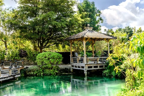 Bird Tiny House Hidden Gem Japanese Garden Miami