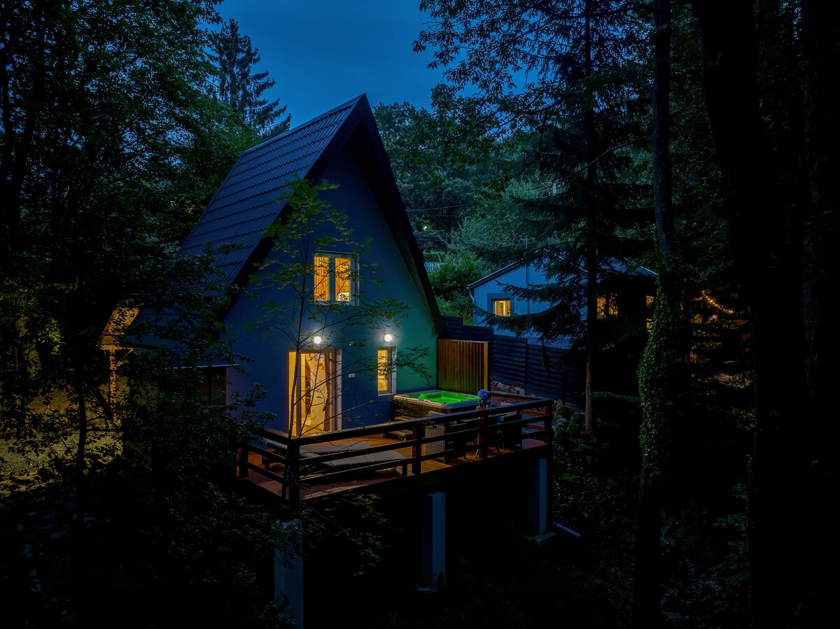 A premium adult-friendly house is illuminated at night, showcasing a modern design nestled within greenery. The structure features a spacious deck and large windows, allowing warm light to emanate from the inside. Surrounding trees create a serene forest atmosphere.