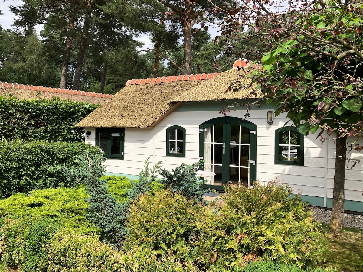 The chalet features a thatched roof and is surrounded by lush greenery, including hedges and ornamental shrubs. Large windows provide natural light, while a welcoming entrance is framed by neatly trimmed bushes. The tranquil setting showcases a blend of nature and architecture.