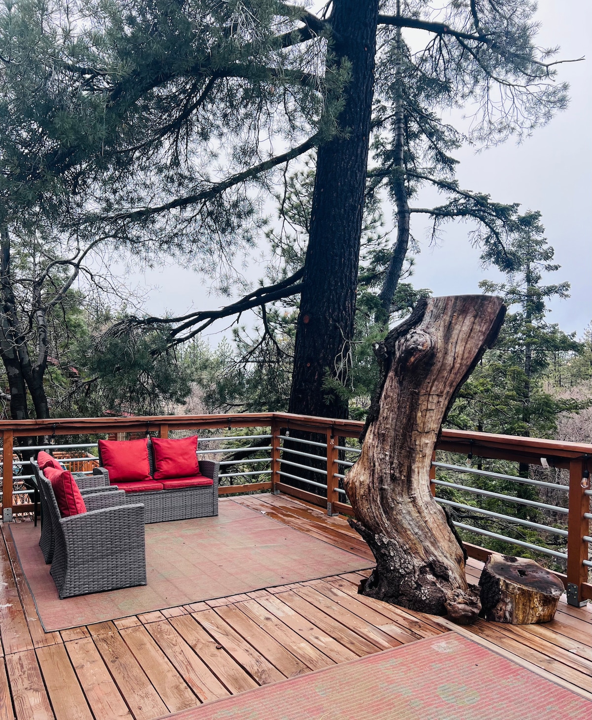 An outdoor deck is showcased, surrounded by tall trees, with a view into the forest. A comfortable seating area features a grey wicker sofa adorned with red cushions. A large tree stump stands nearby, accentuating the natural setting.