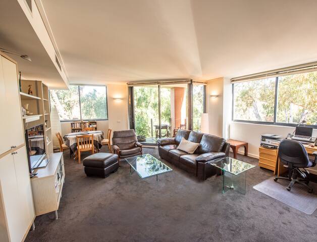 Serendipity by the park & river