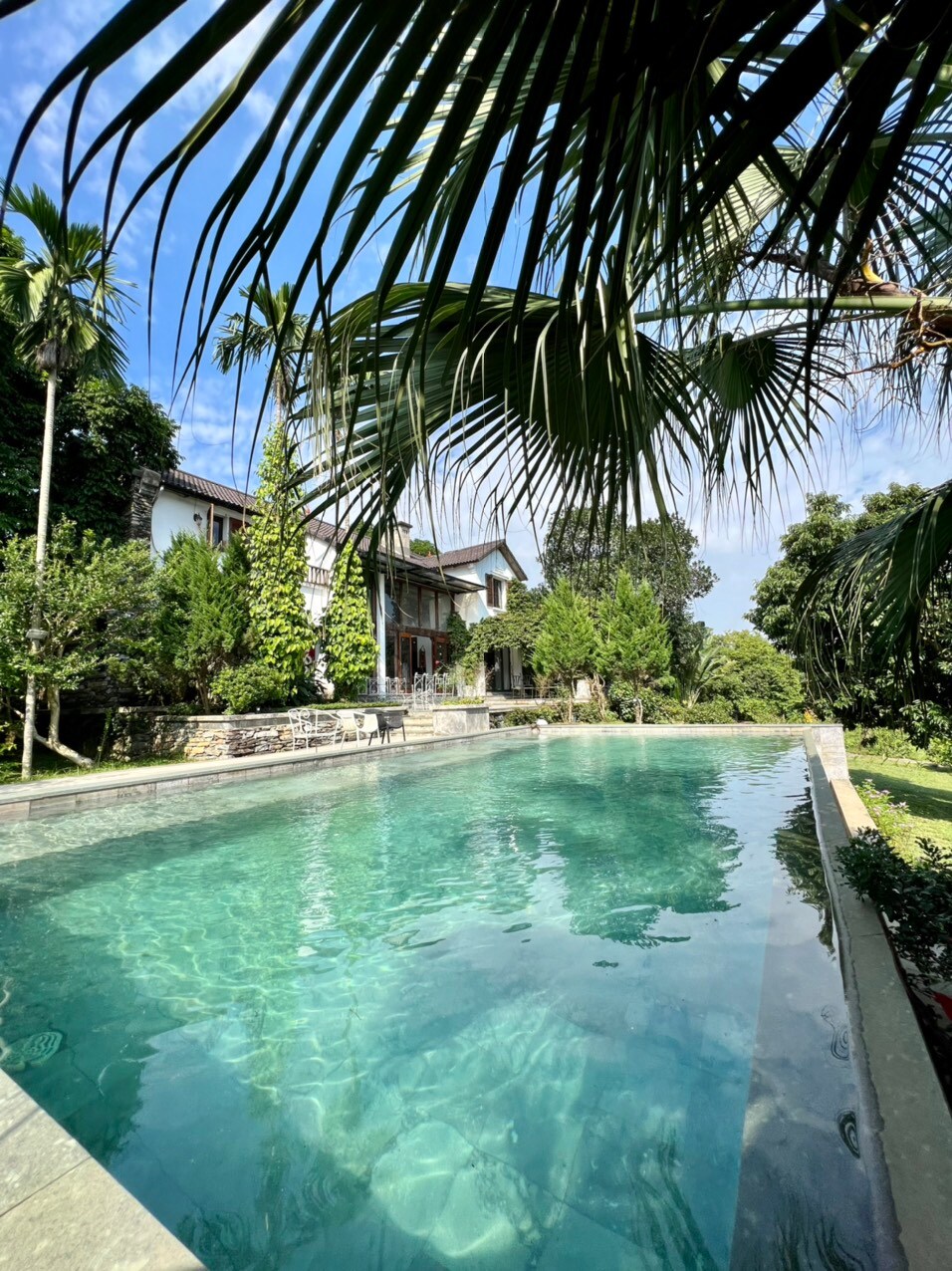A serene swimming pool is surrounded by lush tropical foliage, reflecting the clear blue sky. The pool's pristine water is complemented by stone pathways, leading toward a charming two-story building, which features large windows and inviting greenery throughout the landscape.