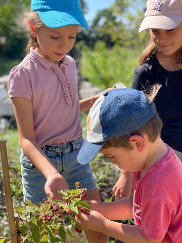 Villa Tafuri gallery image 3