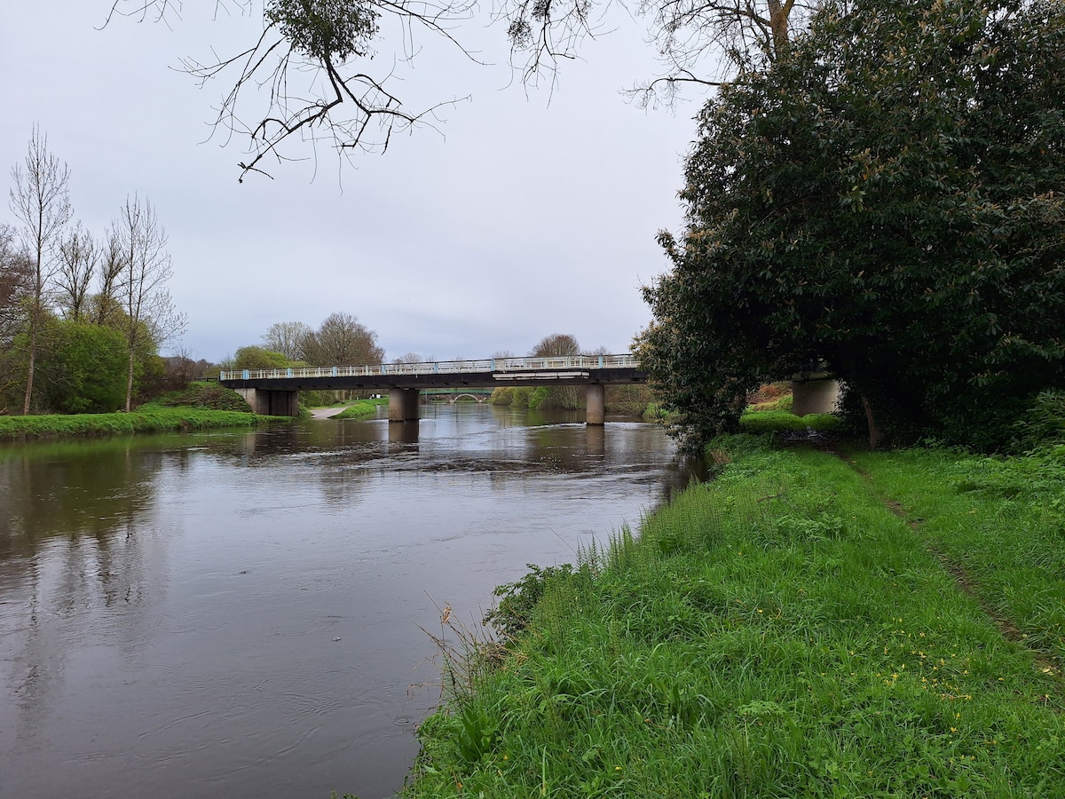 A tranquil river scene is captured beneath an overcast sky, with a bridge crossing over the water. Lush greenery lines the riverbank, while a walking path is visible along the edge, inviting exploration of the serene landscape.