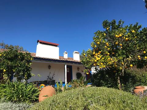 Country House in Estremoz,  Portugal