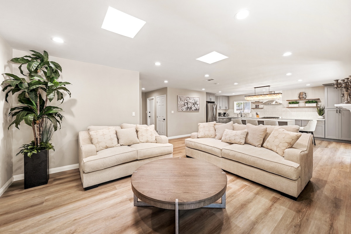 A spacious living area features two light beige sofas arranged around a circular coffee table. A tall green plant stands in a corner, bringing a touch of nature indoors. Bright ceiling lights illuminate the open layout that flows into the kitchen.
