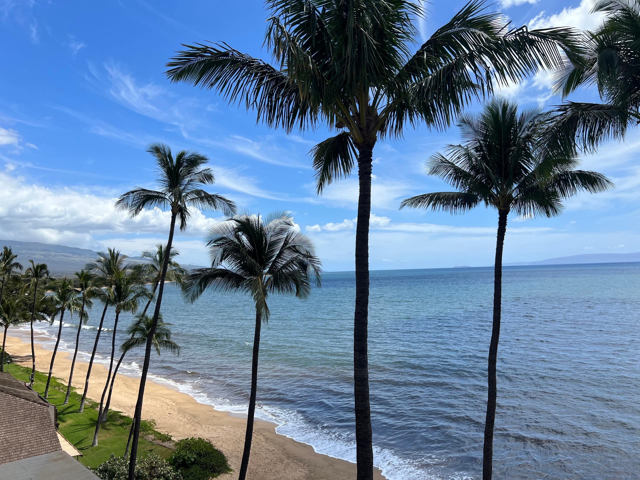 Condo in Kihei · ★4.89 · 1 bedroom · 2 beds · 2 baths - Image 36