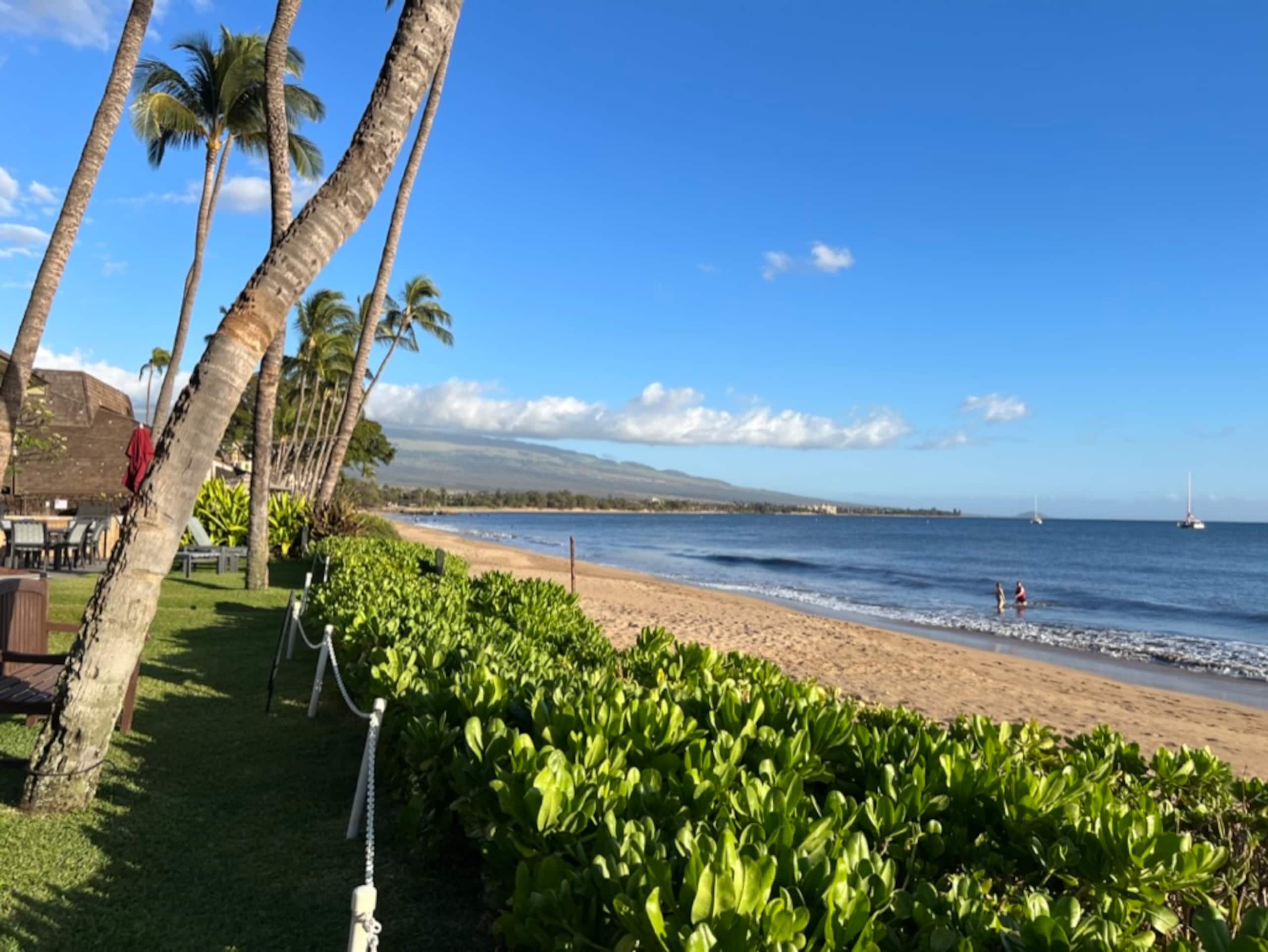 Condo in Kihei · ★4.89 · 1 bedroom · 2 beds · 2 baths - Image 37