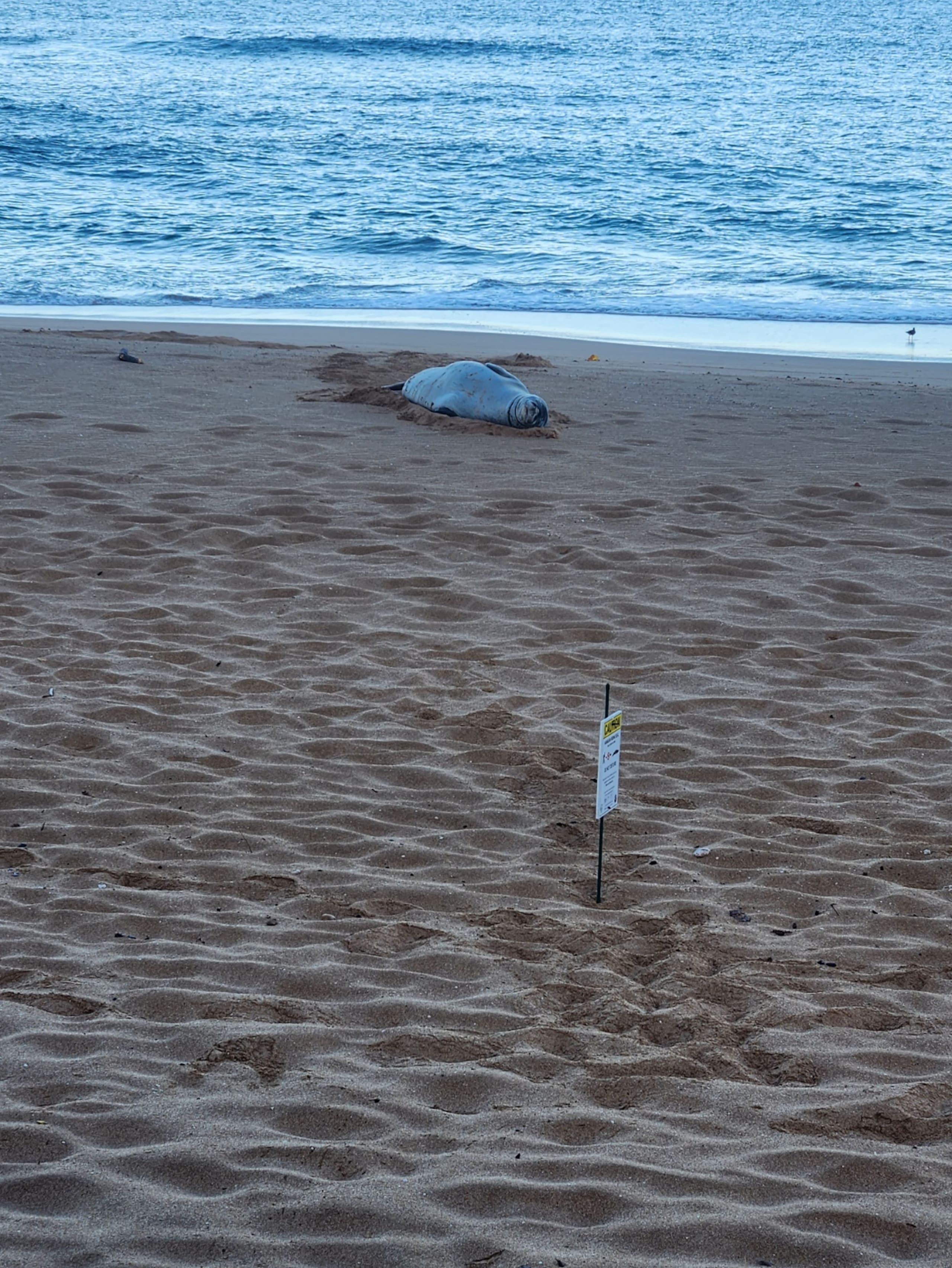 Beachside - Maui Style - Image 23