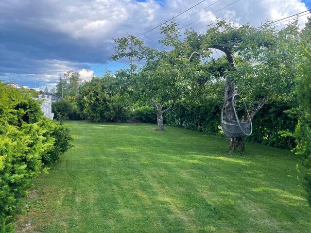 Hus Oslo (Nordstrand) -stor hage gallery image 2