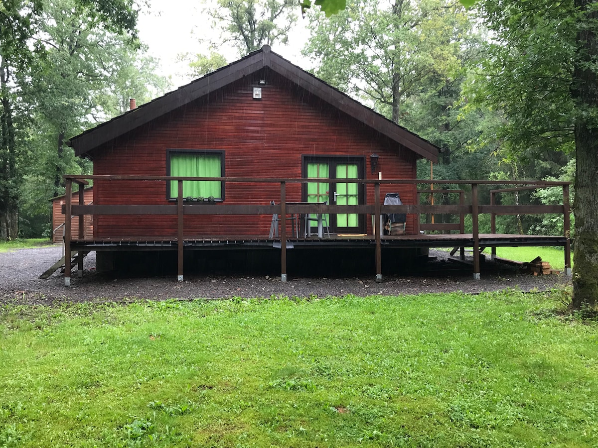 A wooden chalet surrounded by lush greenery is presented with large windows featuring green curtains. A spacious deck extends out from the front, equipped with outdoor seating and a barbecue. The quiet, natural setting enhances the sense of privacy.