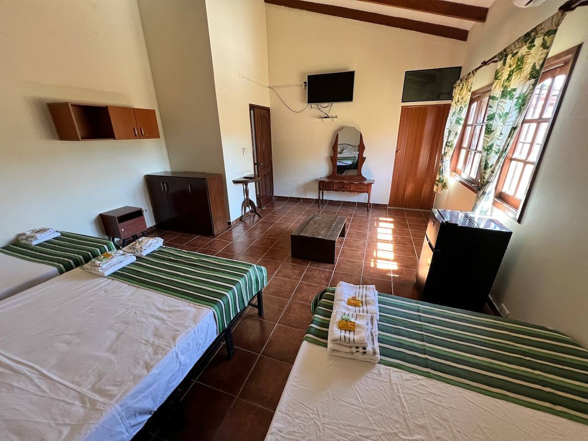 A spacious room is equipped with two beds featuring striped green and white linens. A central coffee table is set between the beds. Natural light filters through windows adorned with floral curtains, enhancing the warm tones of the walls. A television and mirror complete the setup.