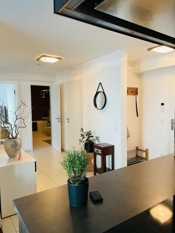 A bright entryway is visible, featuring white walls and modern lighting. A round mirror is mounted above a small bench, and decorative elements, including a potted plant and a branch arrangement, add subtle touches. Doors lead to additional spaces within the apartment.