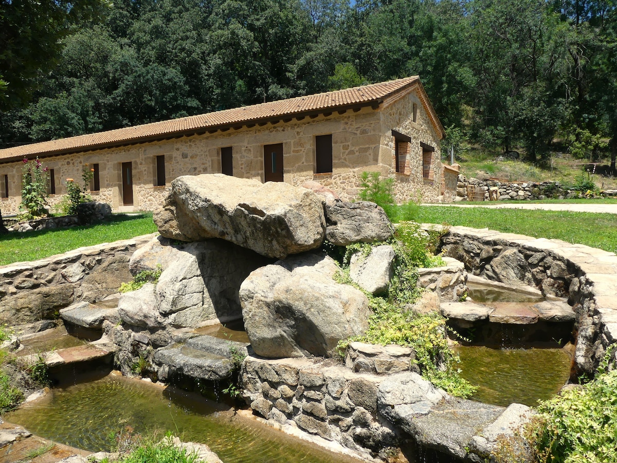 A natural stone water feature is surrounded by lush greenery. The rustic building in the background is constructed with warm-toned stones and features multiple wooden windows. The serene environment is complemented by the gentle flow of water, blending harmoniously with the landscape.