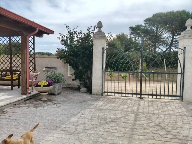 Villa Terry a 50 m dal mare gallery image 2