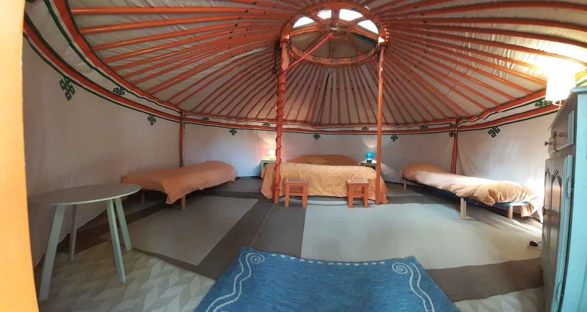 The interior of a traditional Mongolian yurt is displayed, featuring a circular design with wooden supports. Two single beds and a spacious bed are arranged with beige bedding. A small table sits between the beds, and a blue rug is positioned on the floor, creating a cozy setting.