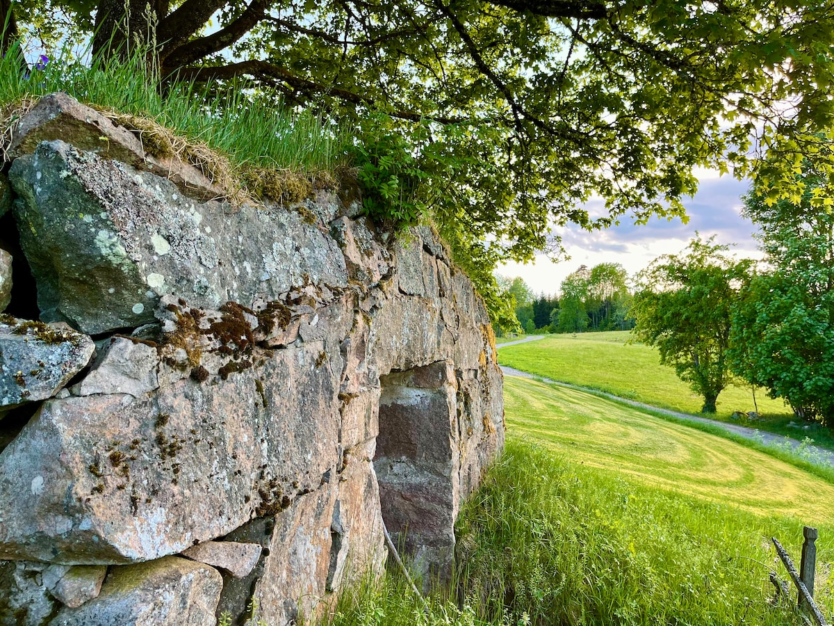 An ancient stone structure is partially covered by moss and grass, framed by a leafy tree above. In the background, a lush green field stretches out, with a winding path leading into the distance. The scene reflects a serene natural environment.