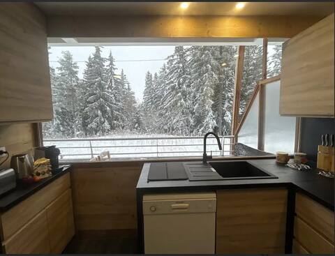 Appartement familial 10/12 places