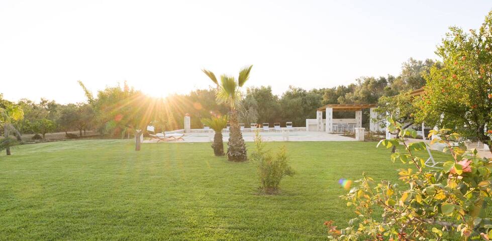 Trulli tra gli Ulivi gallery image 3