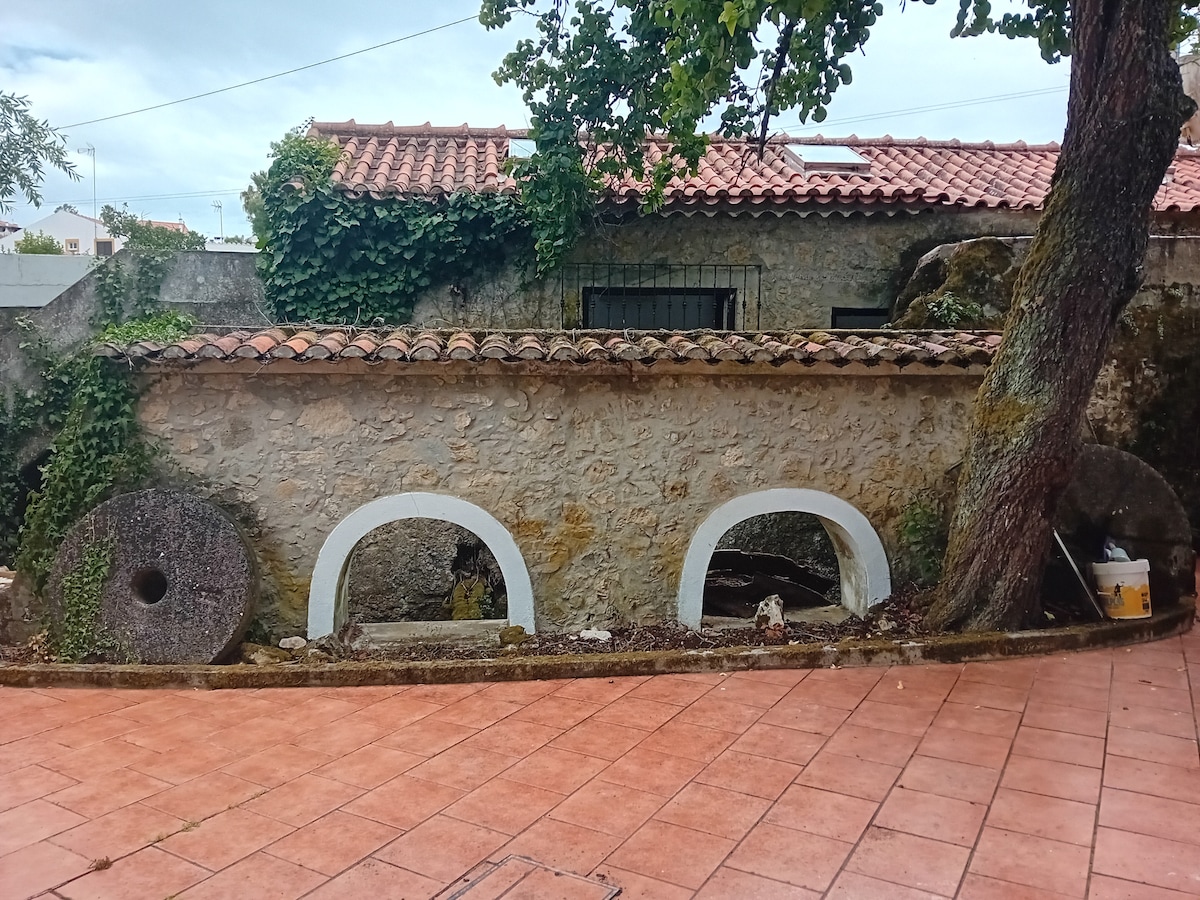 An outdoor area features a charming stone wall adorned with two arched openings. Large, round millstones are positioned nearby, complemented by a tree providing shade. A tiled surface surrounds the space, enriched with greenery from climbing vines and shrubs along the wall.