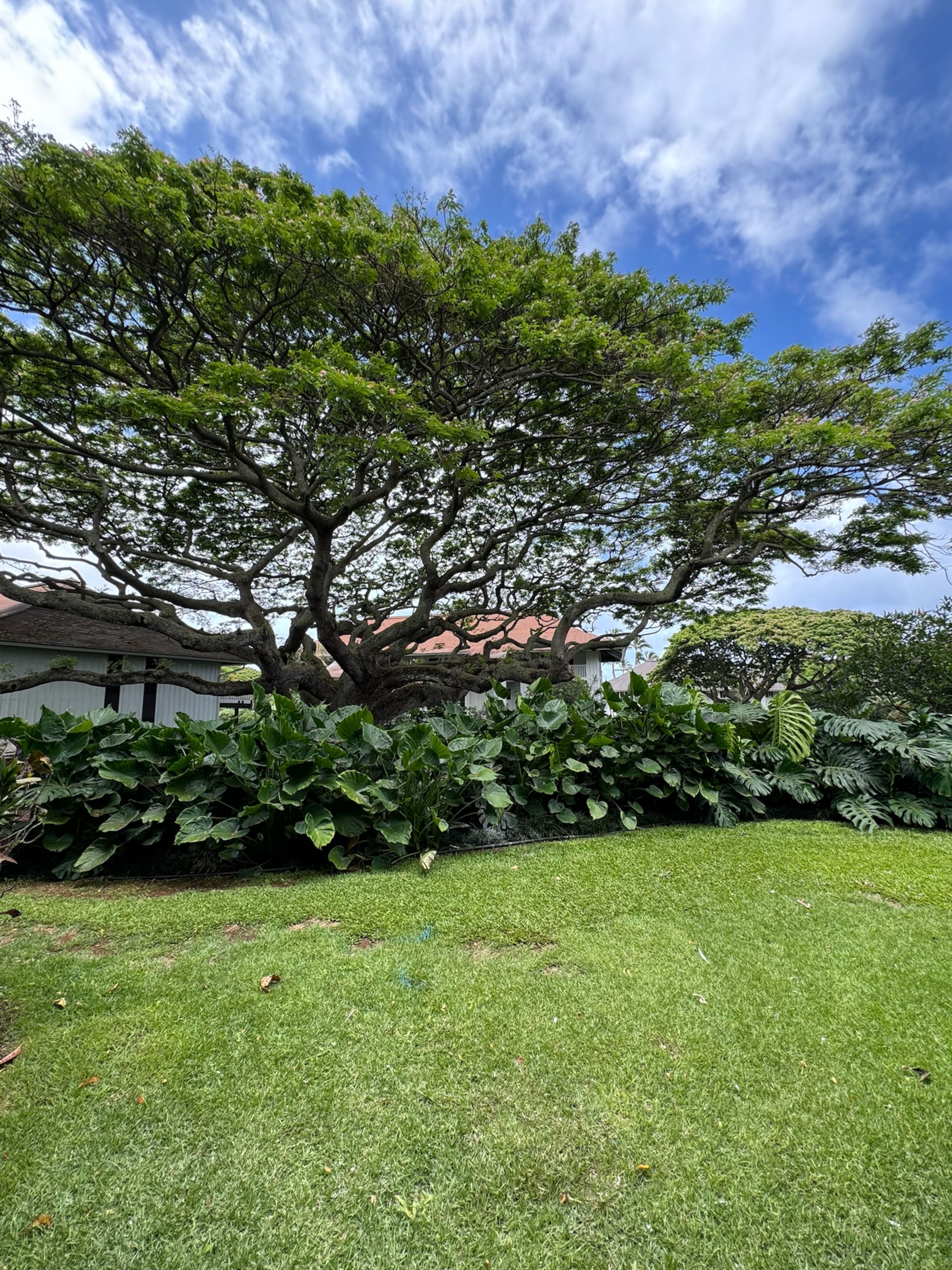 Condo in Koloa · ★4.93 · 2 bedrooms · 5 beds · 2 baths - Photo 41