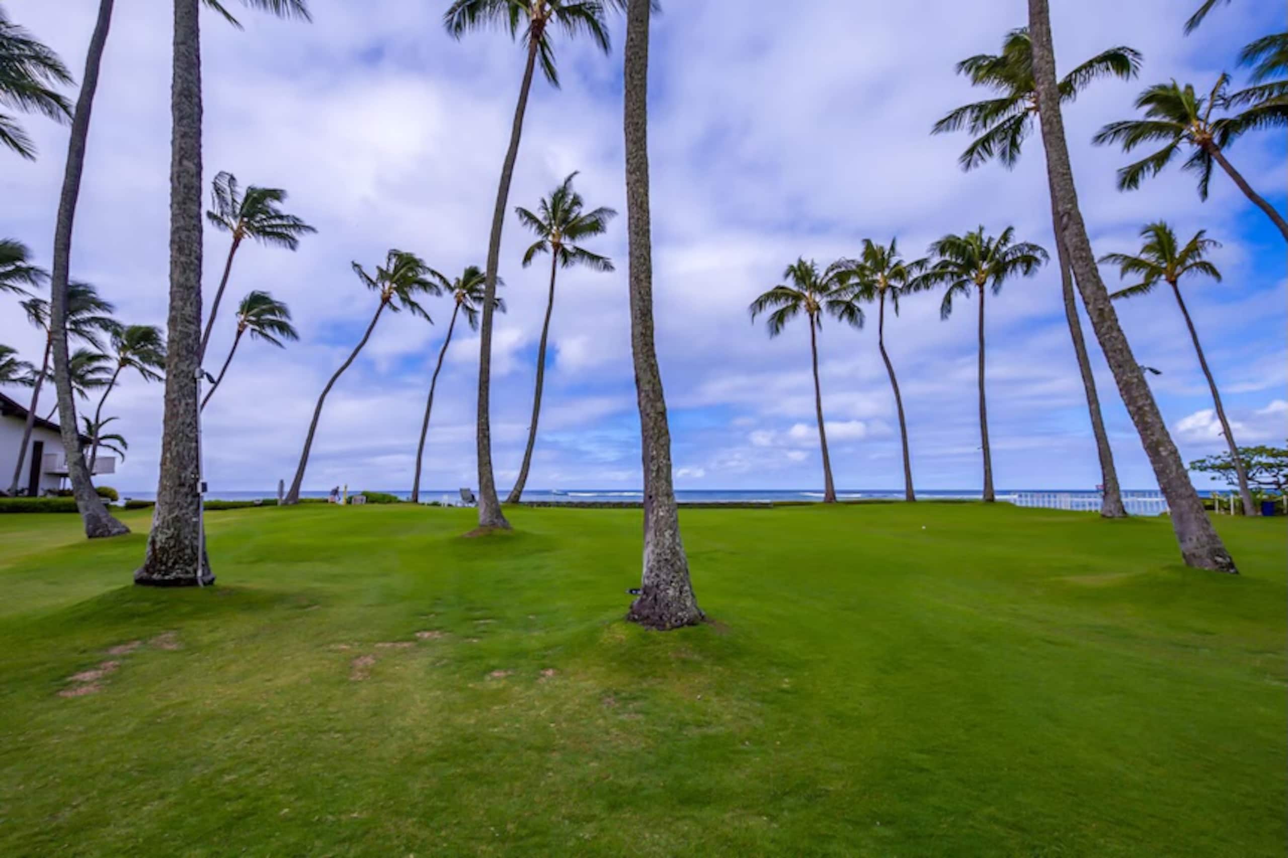 Condo in Koloa · ★4.93 · 2 bedrooms · 5 beds · 2 baths - Photo 45