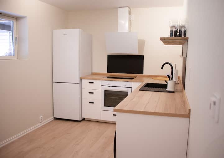 Bright and nice downtown apartment