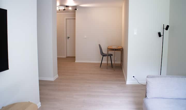 Bright and nice downtown apartment