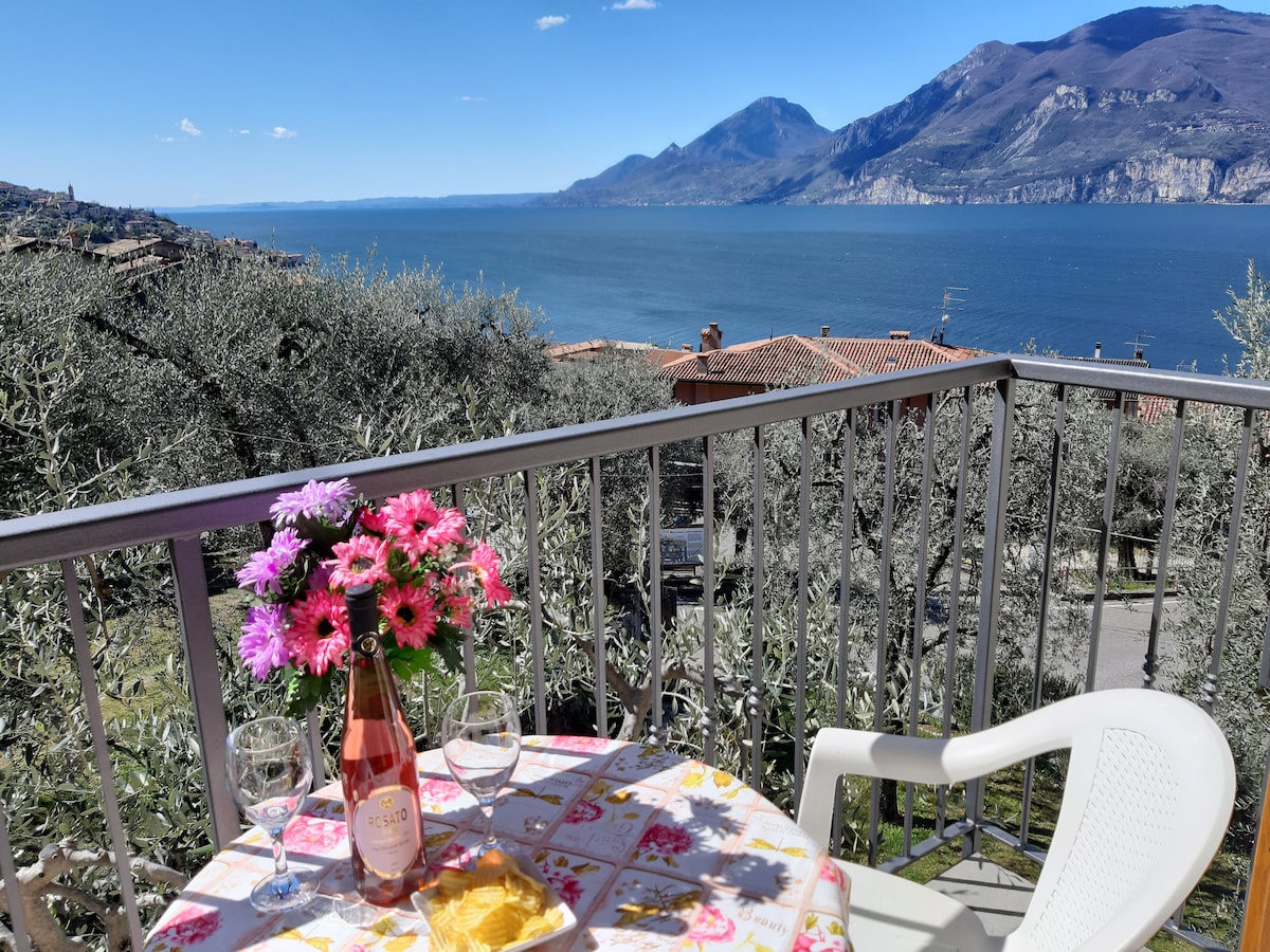Successful Airbnb property: Apartment Azalea Lake view in Brenzone Sul Garda