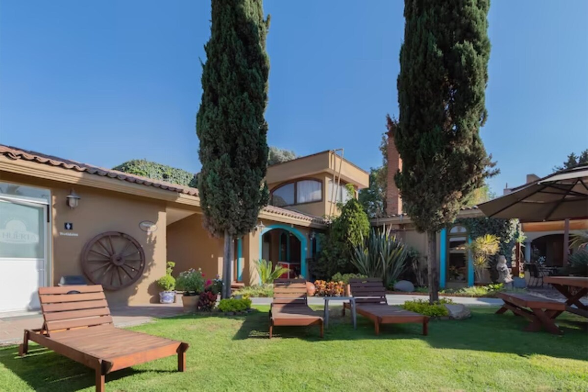 A well-maintained outdoor area features a lush green lawn surrounded by tall trees and shrubbery. Several lounge chairs are strategically placed, and vibrant plants add a pop of color. The unique architecture of the building is visible in the background.