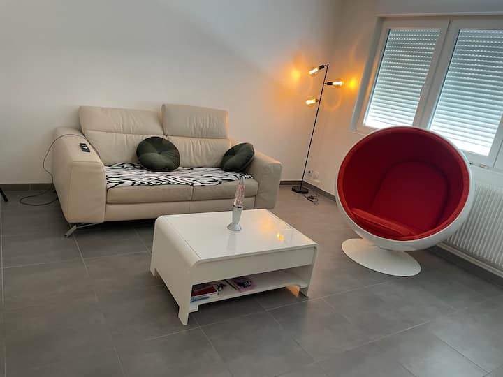 Appartement Thionville - Thionville