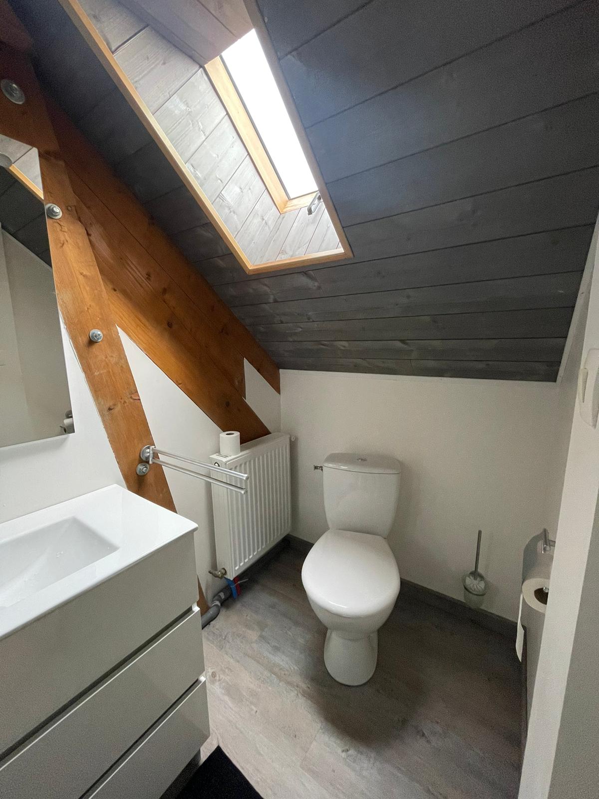 A compact bathroom is presented with a modern white sink and cabinet beneath a slanted wooden ceiling. Natural light streams in through a skylight, illuminating the space. A toilet is positioned against the wall, complemented by a towel rack and a radiator.