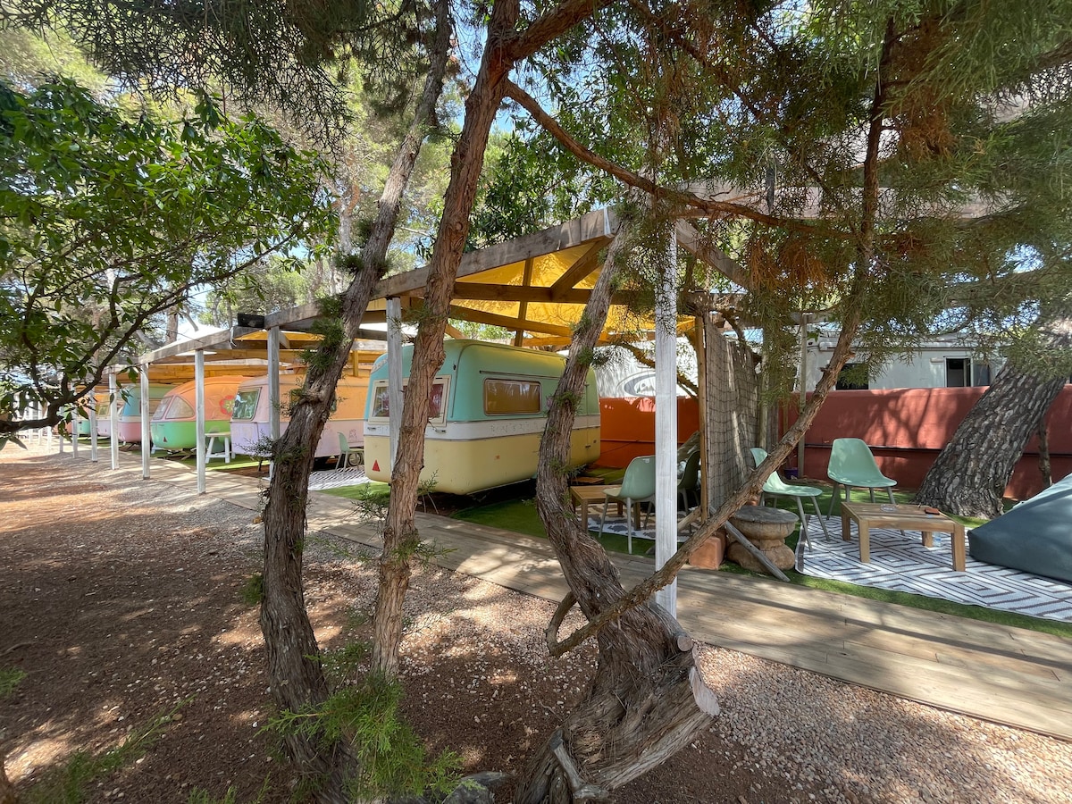 A row of vintage caravans is nestled among trees, with a wooden deck visible in the foreground. Each caravan exhibits bright colors and retro design. A shaded seating area is arranged under a canopy, providing a space for relaxation amidst the natural surroundings.
