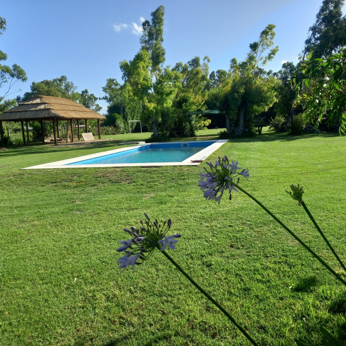 A well-maintained garden features a clear pool surrounded by neatly trimmed grass. A thatched-roof structure is visible in the background, providing shaded seating. Green trees and vibrant flowers enhance the natural outdoor setting.