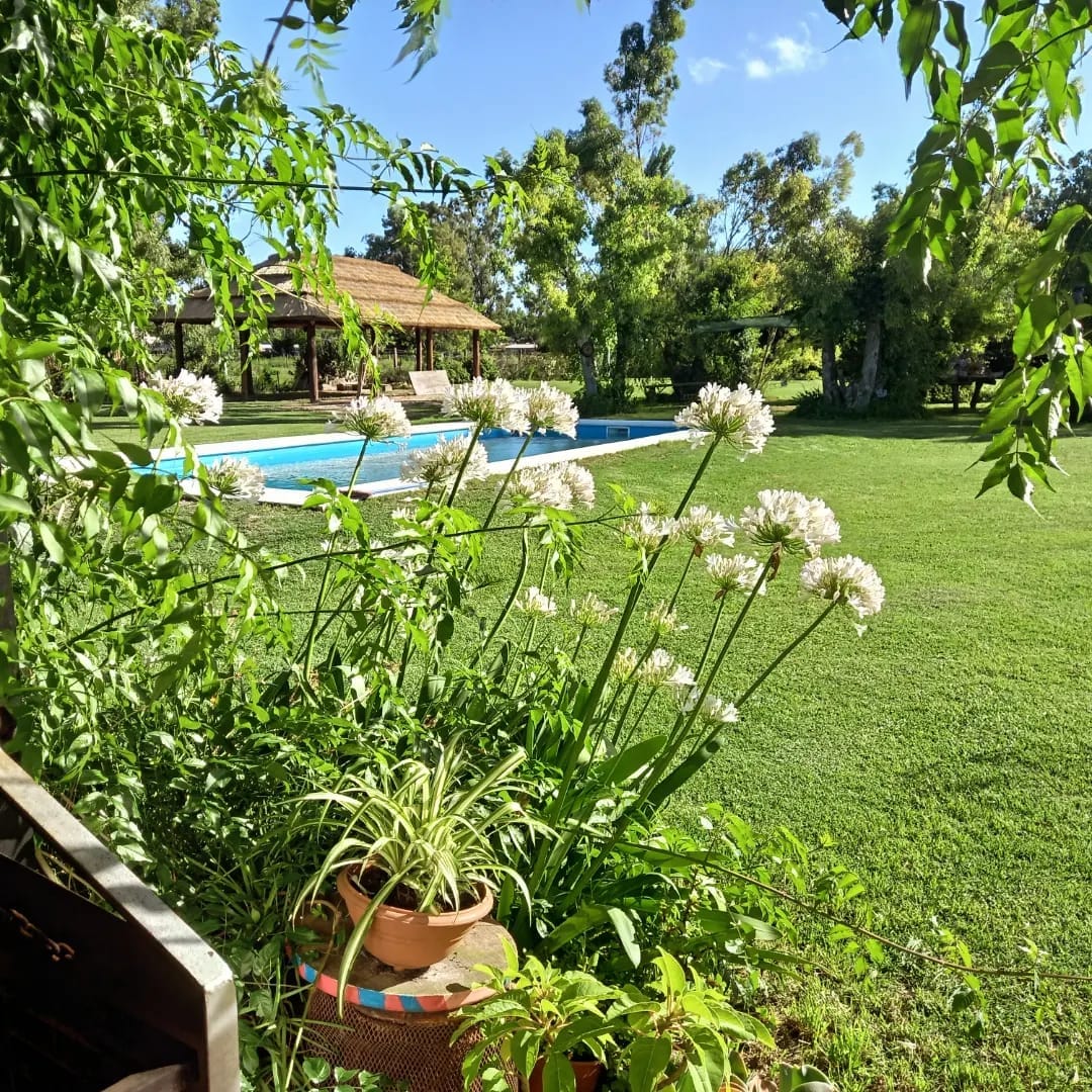 A serene outdoor space is featured, showcasing a swimming pool surrounded by lush greenery. White flowers bloom in the foreground, while a shaded area with a thatched roof is visible in the background, inviting relaxation in a natural setting.