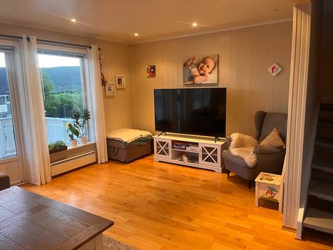 Successful Airbnb property: Home by the sea in Bodø