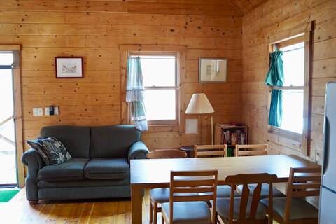 Woods and lake cabins